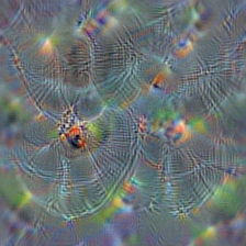 n04275548 spider web, spider